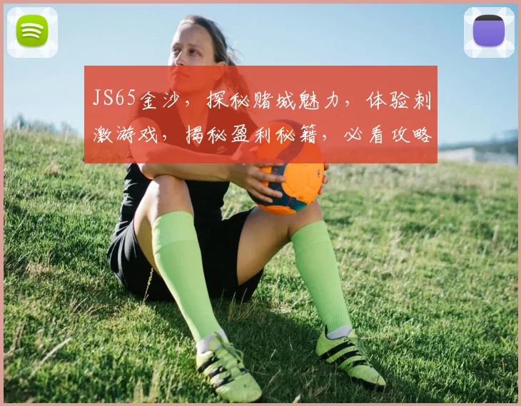 JS65金沙，探秘赌城魅力，体验刺激游戏，揭秘盈利秘籍，必看攻略，不容错过