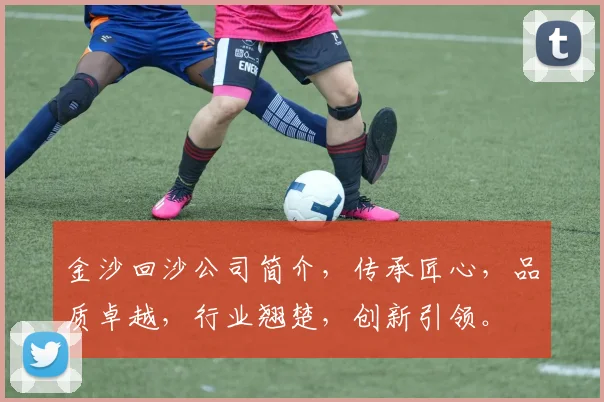 金沙回沙公司简介，传承匠心，品质卓越，行业翘楚，创新引领。